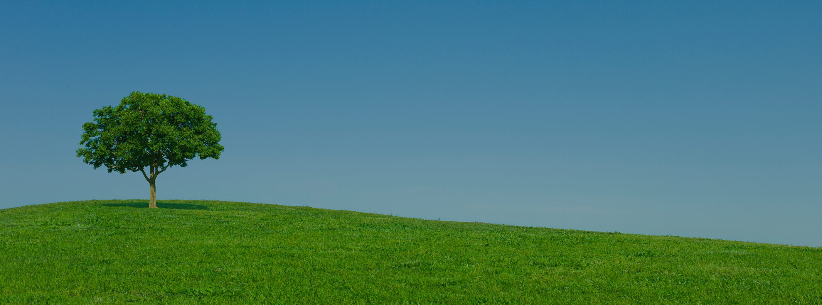 CSR〈企業の社会的責任〉の取り組み