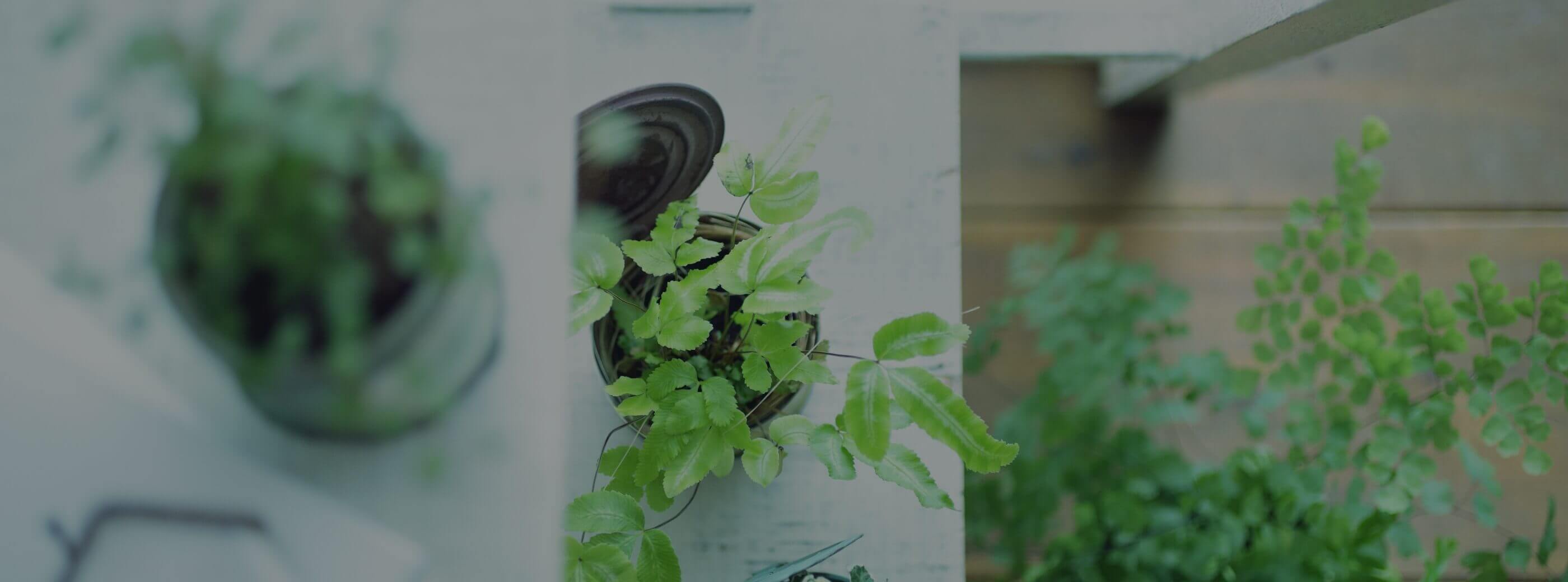 お問い合わせありがとうございました