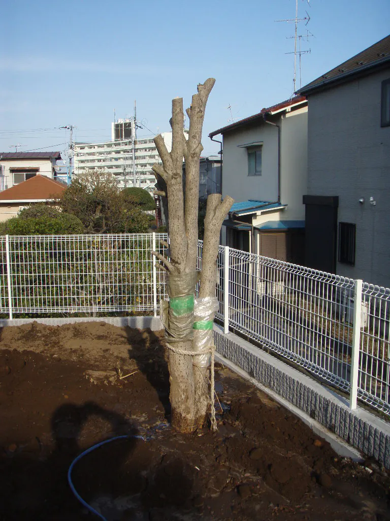 植木・石の移動